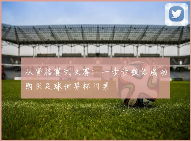 从资格赛到决赛：一步步教你成功购买足球世界杯门票