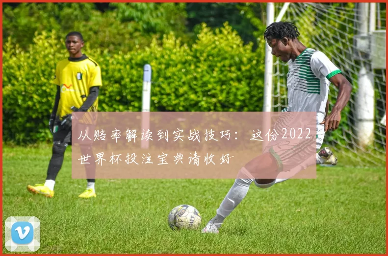 从赔率解读到实战技巧：这份2022世界杯投注宝典请收好