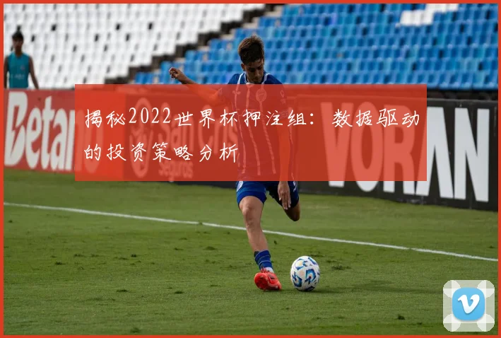 揭秘2022世界杯押注组：数据驱动的投资策略分析