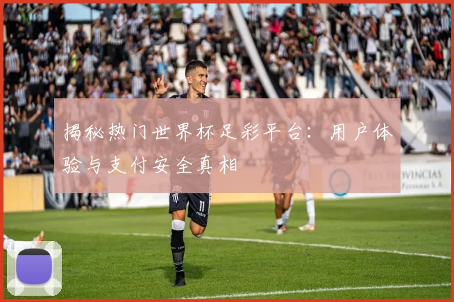 揭秘热门世界杯足彩平台：用户体验与支付安全真相